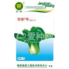 小白菜（油菜）种子 京绿7号