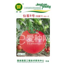 番茄种子 仙客8号（抗线虫）
