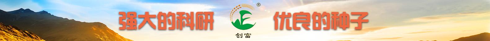 安徽省创富种业有限公司