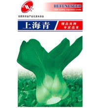 小白菜（油菜）种子 上海青