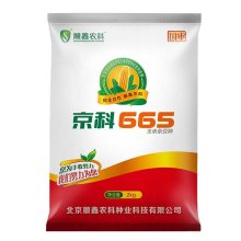 玉米种子 京科665
