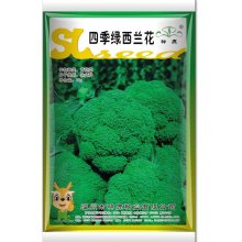 青花菜种子 四季绿