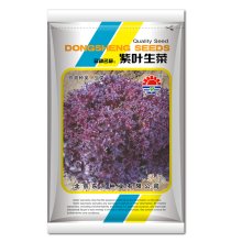 生菜种子 紫叶生菜