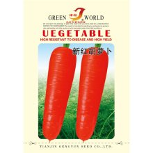 新红胡萝卜 中早熟，生长期100天左右。具有10－12片叶，叶色浓绿
