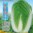 大白菜种子秦白78 中晚熟杂交一代新品种丰产稳产耐贮运10g/袋包