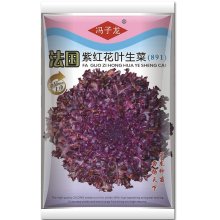 法国紫红花叶生菜(891)
