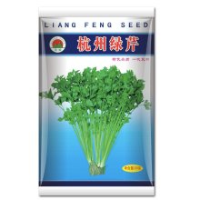 杭州绿芹 芹菜种子