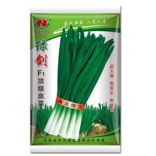 绿剑  韭菜种子