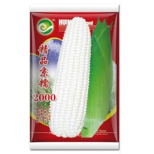 精品京糯2000 鲜食玉米种子