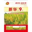 新华两优9号 水稻种子