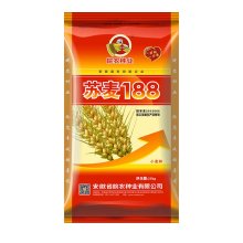 苏麦188 小麦种子