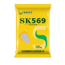 SK569 玉米种子(运费客户自理)