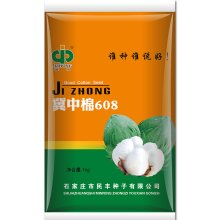 冀中棉608 棉花种子(运费客户自理)